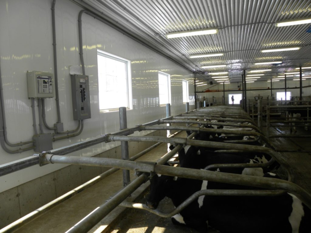 Éclairage, automatisation, contrôle, ventilation et raccordement électrique d'une ferme laitière