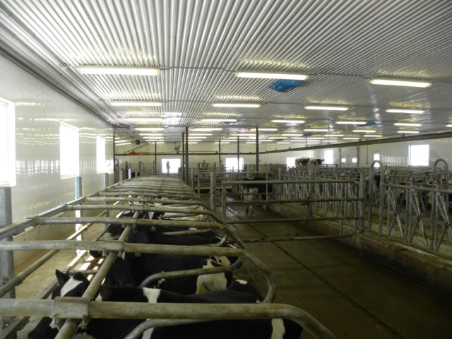 Éclairage, automatisation, contrôle, ventilation et raccordement électrique d'une ferme laitière